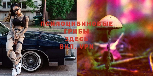 таблы Мурманск